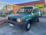 FIAT Panda 1ª serie 900 i.e. cat Jolly