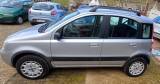 FIAT Panda 1.2 4x4 Climbing   GPL