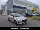 FORD Fiesta 1.1 75 CV 5 porte Titanium