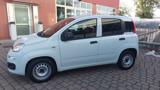 FIAT Panda 1.0 GSE S&S Hybrid Pop Van 2 posti Aziend. Italia