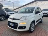 FIAT Panda Panda III0.9 t.air t. natural power Easy 80cv E6