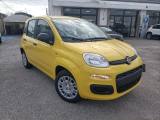 FIAT Panda 1.0 FireFly S&S Hybrid Pop PREZZO SENZA OBBLIGHI