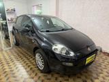 FIAT Punto 1.2 8V 5 porte Lounge