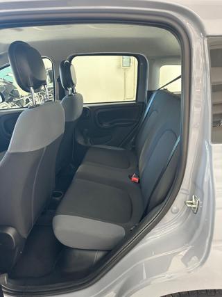 FIAT Panda usata 19