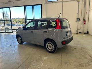 FIAT Panda usata, con Alzacristalli elettrici