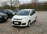 FIAT Panda 1.0 FireFly S&S Hybrid 5 Posti