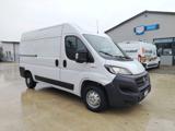 FIAT DUCATO  2.3 mjt 140 pmtm