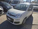 FIAT Panda 1.0 FireFly S&S Hybrid Eas 5 posti no obbligo fina