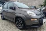 FIAT Panda Panda 1.0 firefly hybrid s&s 70cv