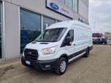 FORD Transit 350 2.0TDCi EcoBlue 170CV PL-SL-TA Furg. Jumbo Tre