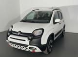 FIAT Panda Cross 1.0 Hybrid 70cv Cross 5 posti + Car Play +PDC Post