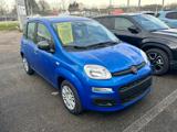 FIAT Panda 1.0 FireFly 70cv S&S Hybrid KM.ZERO 5 POSTI