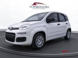 FIAT Panda 1.0 firefly hybrid s&s 70cv