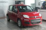 FIAT Panda 1000 HYBRID PANDA 70 CV 5 POSTI KM 0