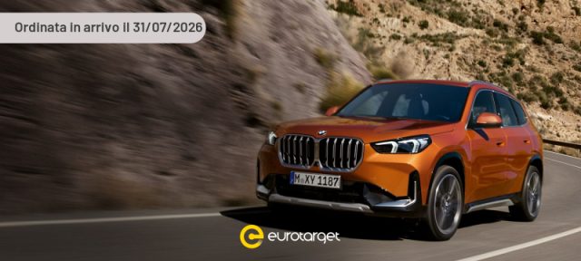 BMW X1 Elettrica/Benzina usata
