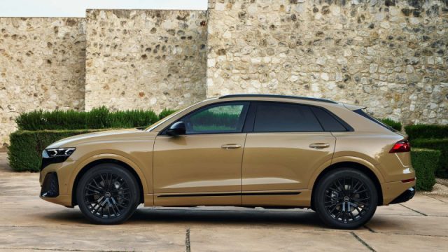 AUDI RS Q8 TFSI V8 QUATTRO TIPTRONIC PERFOR - foto 6