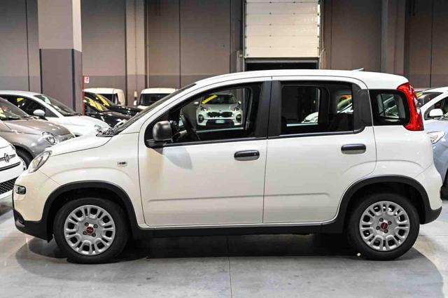 FIAT PANDA 1.0 FIREFLY S&S HYBRID - foto 20