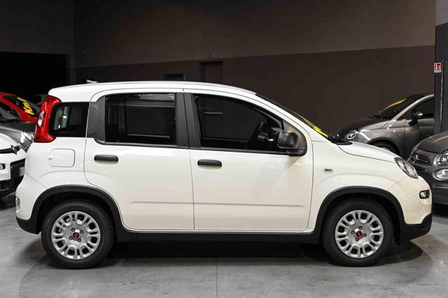 FIAT PANDA 1.0 FIREFLY S&S HYBRID - foto 18