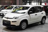 VENDO Auto a Frosinone – foto 1