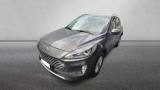 FORD Kuga 1.5 EcoBlue 120 CV aut. 2WD Titanium Business
