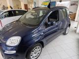 FIAT Panda 1.2 Lounge 70 CV 5 POSTI 35.000 KM!!!