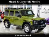 MERCEDES-BENZ G 500 1 OF 460|CACTUS GREEN|360°|TETTO|BURMESTER|