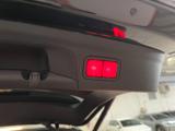 Dettaglio Immagine