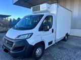 FIAT Ducato 35 2.3 MJT 140CV CELLA FRIGO