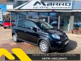 FIAT Panda 1.0 MILD- Hybrid VETRI OSCURATI