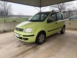 FIAT Panda 1.2 OK NEOPATENTATI PRONTA CONSEGNA
