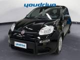 FIAT New Panda 1.0 FireFly S&S Hybrid KM 31.800