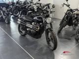 TRIUMPH Street Scrambler