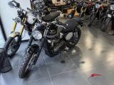 TRIUMPH Street Scrambler