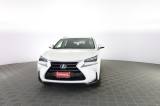 LEXUS Other NX NX Hybrid 4WD Luxury