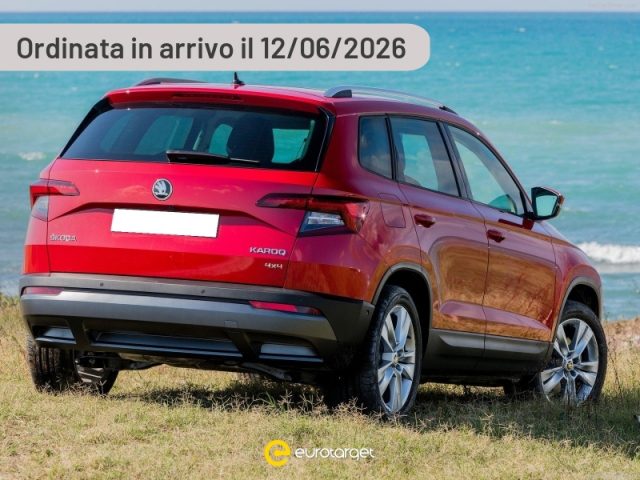 SKODA Karoq Diesel usata SKODA Karoq Diesel usata