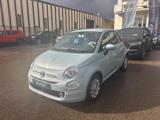 FIAT 500 *PROMO* 1.0 Hybrid cult