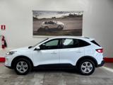 FORD Kuga 2.5 Plug In Hybrid 225 CV CVT 2WD Connect
