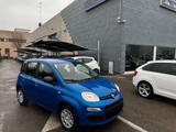 FIAT Panda 1.0 FireFly S&S Hybrid Pandina KM 0