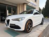ALFA ROMEO Stelvio 2.2 Turbodiesel 210 CV AT8 Q4 Veloce