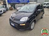 FIAT Panda 1.0 FireFly S&S Hybrid 5 POSTI !! PREZZO REALE !!