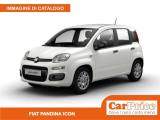 FIAT Pandina 1.0 FireFly 65CV Hybrid Icon (5 Posti)
