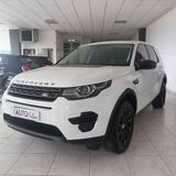 LAND ROVER Discovery Sport 2.0 TD4 150 CV Auto Business Ed.Premium Pure