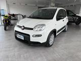 FIAT Panda 1.0 FireFly S&S Hybrid Pandina