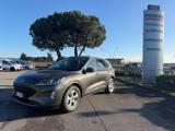 FORD Kuga 1.5 EcoBlue 120 CV aut. 2WD Titanium Business
