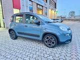 FIAT Panda 1.0 FireFly S&S Hybrid City Life *Ok NeoPatentati*