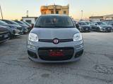 FIAT Panda 1.0 FireFly S&S Hybrid Easy