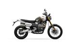 TRIUMPH Scrambler 1200 XE NEW 2026