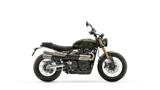 TRIUMPH Scrambler 900 NEW 2026