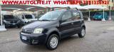 FIAT Panda 1.2 4x4 Climbing Gpl