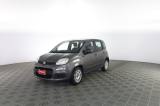 FIAT Panda Panda 1.0 FireFly 70cv S&S Hybrid E6d-Final EASY